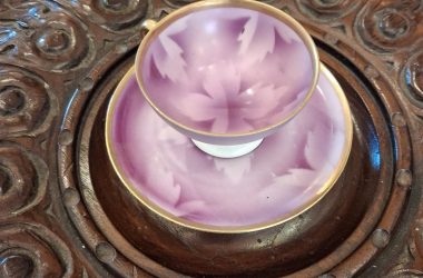 Viyana Kahve Fincanı