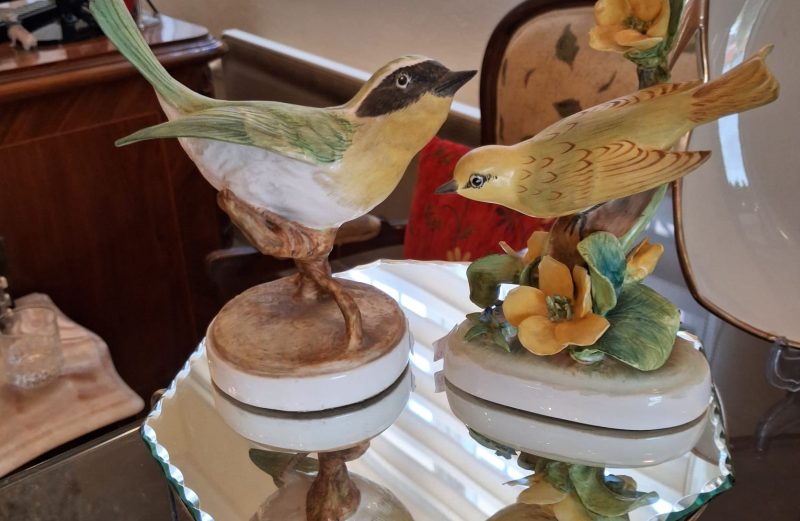 İngiliz Bisque Bülbül Biblo